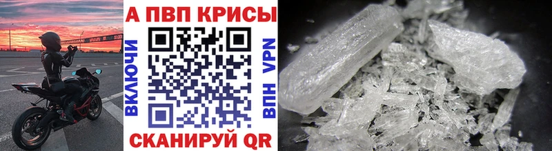 A PVP крисы CK  shop Telegram  Свободный 