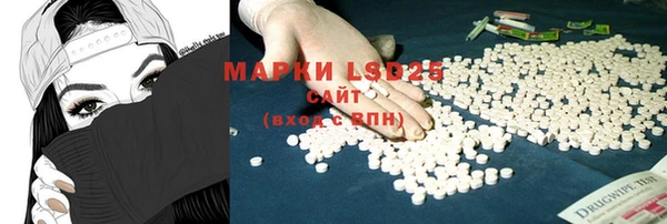 шишки Арсеньев