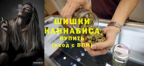 ешки Аркадак