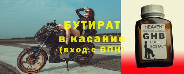 шишки Арсеньев