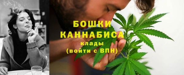 прущие грибы Балабаново