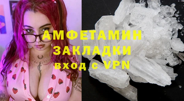 прущие грибы Балабаново