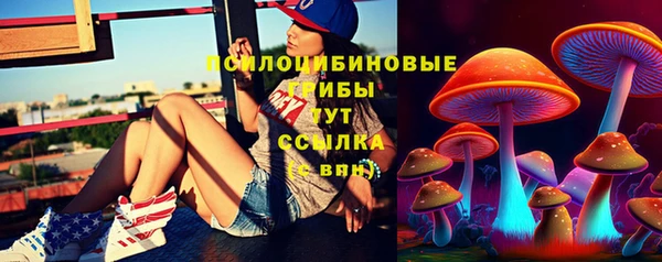 ешки Аркадак