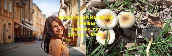 ешки Аркадак