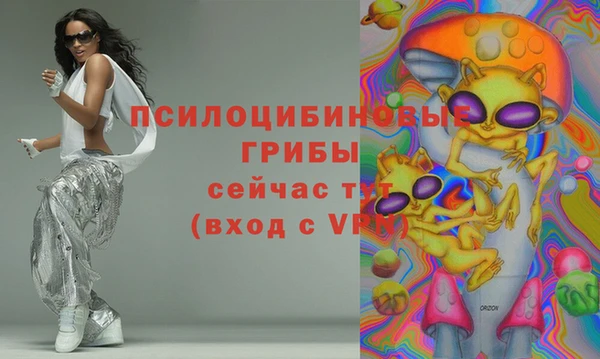 прущие грибы Балабаново