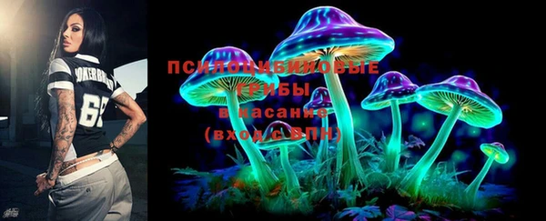 ешки Аркадак